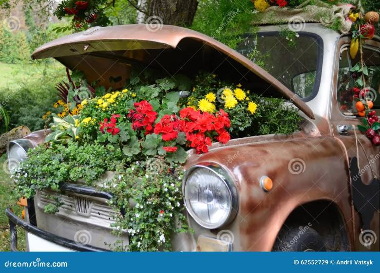 ecology-flowers-under-hood-old-car